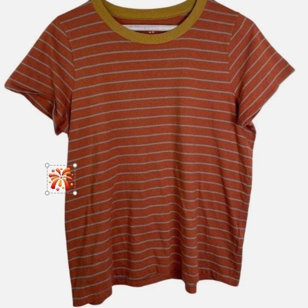 Madewell Tan and Red Striped Top